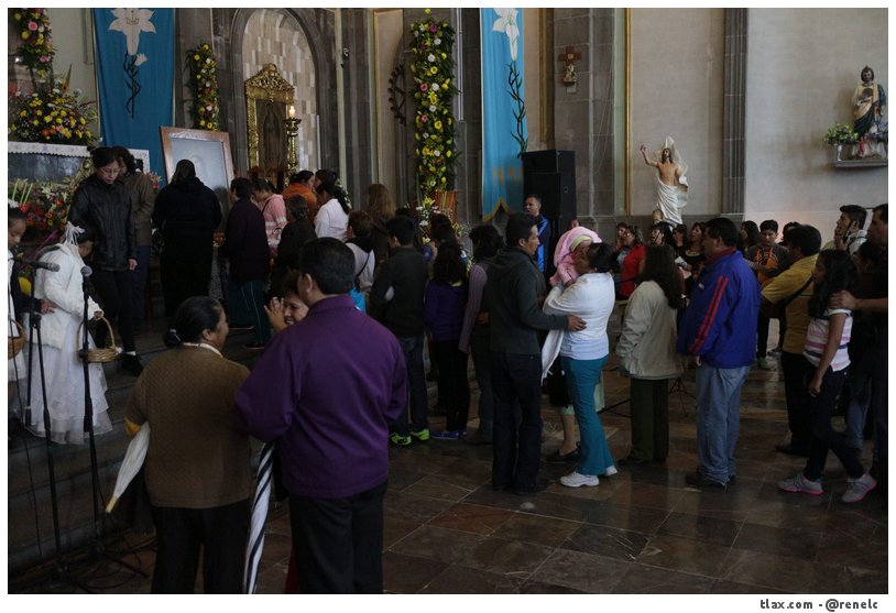 Alfombras Virgen de la misericordia 2015 en Apizaco - Foto
