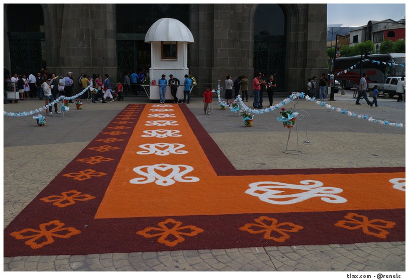 Alfombras Virgen de la misericordia 2015 en Apizaco - Foto