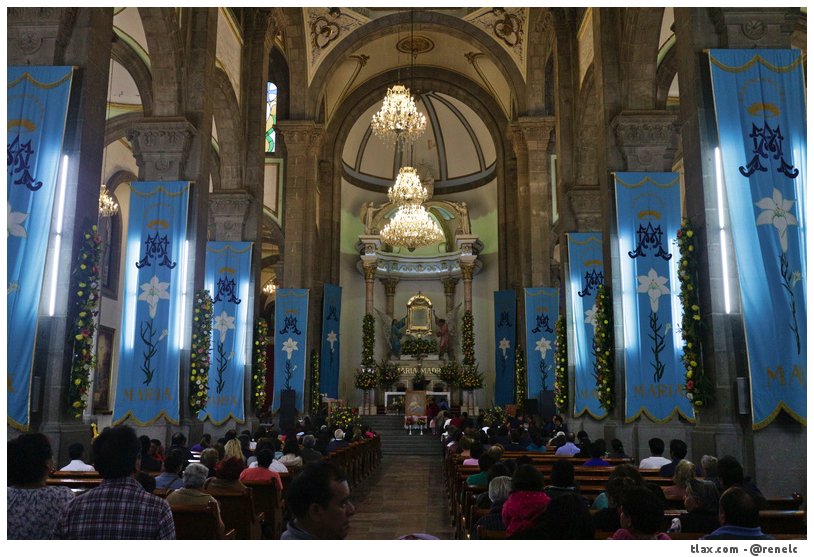 Alfombras Virgen de la misericordia 2015 en Apizaco - Foto