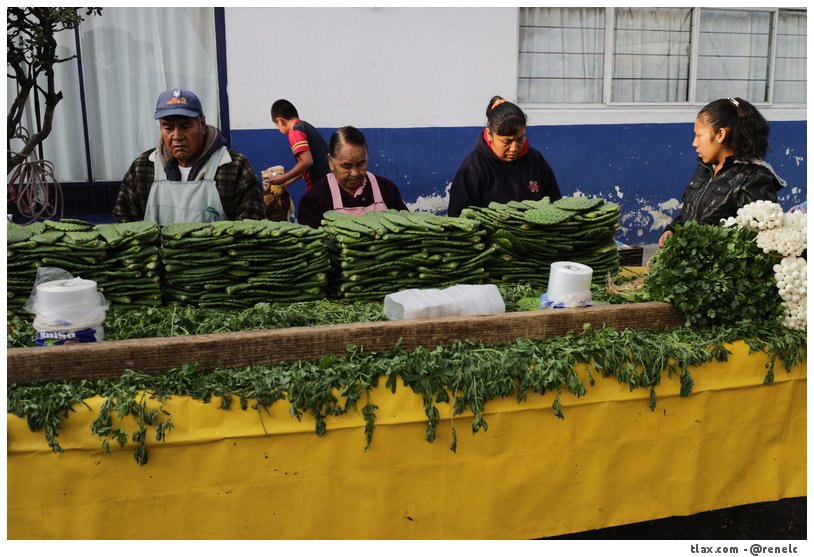 Mercado el Alto - Foto