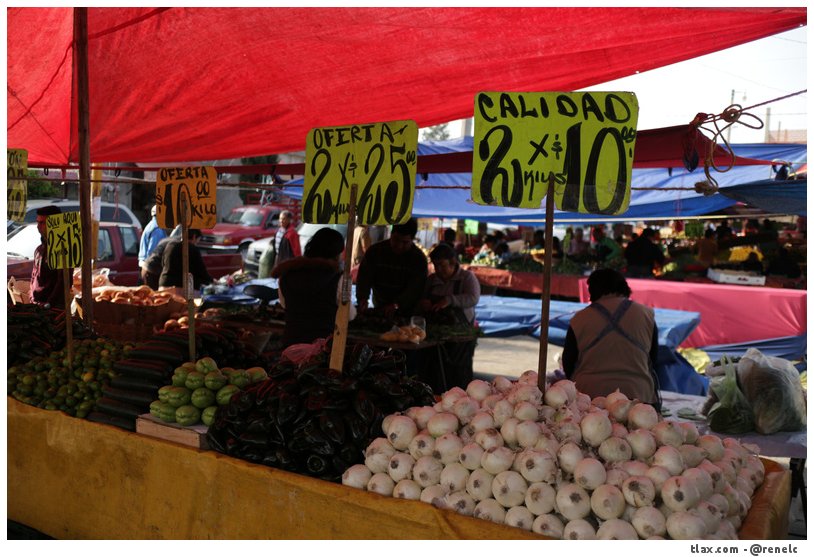 Mercado el Alto - Foto