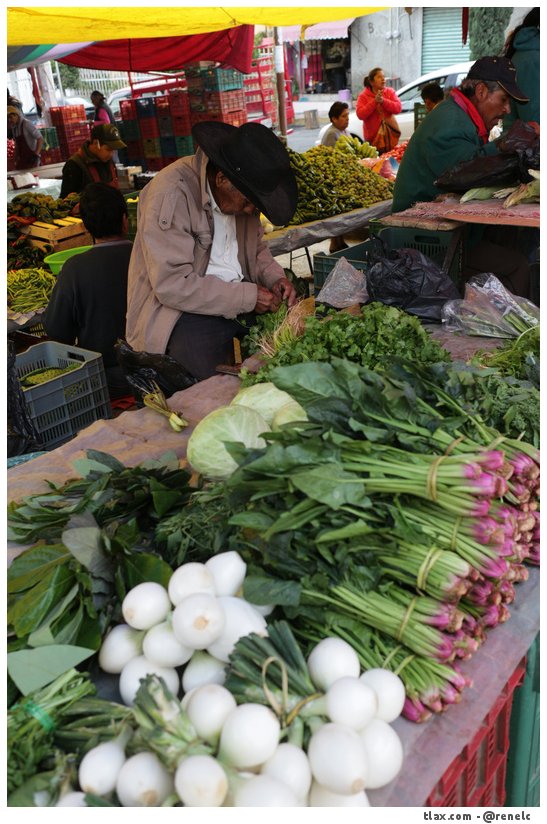 Mercado el Alto - Foto