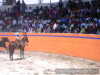 Fernando Rodriguez tirando a caballo