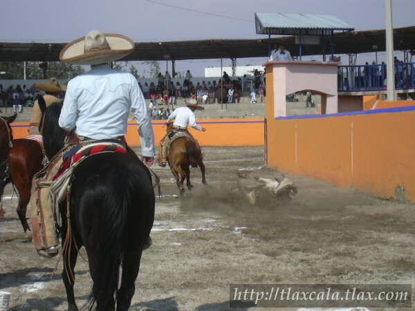Derribe 2 Rigo Macias