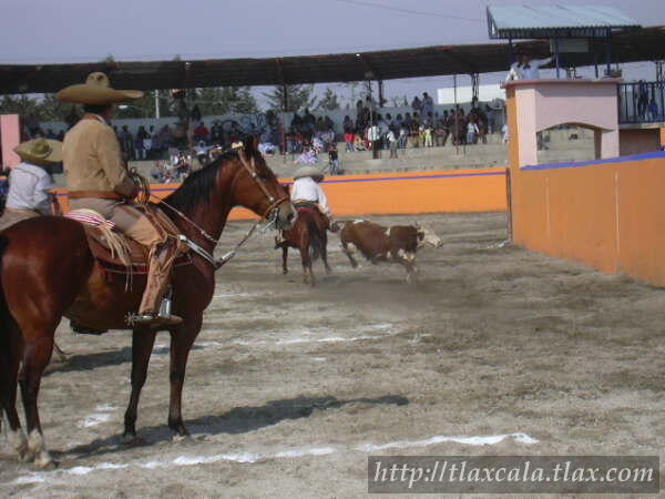 Derribe 2 Carlos Pe&ntilde;a