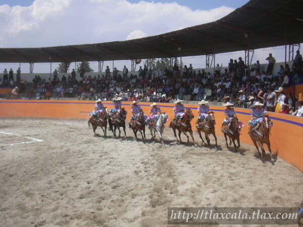 Abanico coronelas