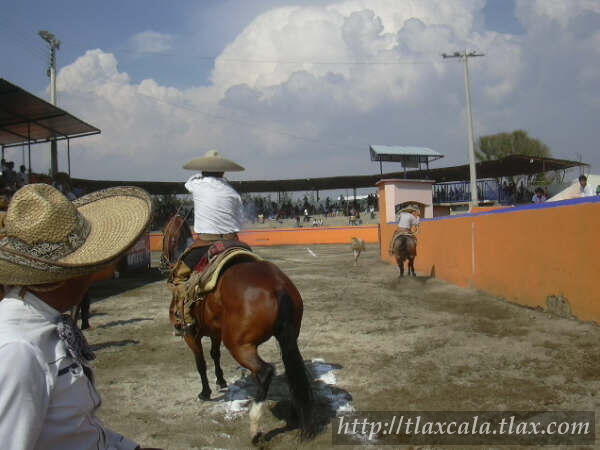 Pial de Rodolfo Duran