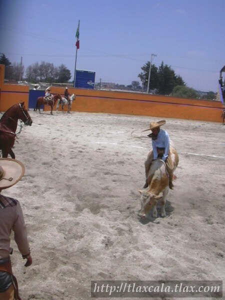 Jineteada Javier Blanco