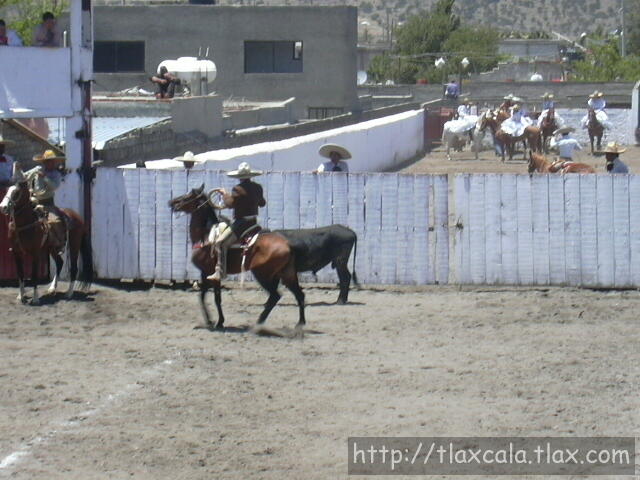 Lazo de cabeza del Lic. Victor Manuel Lopez