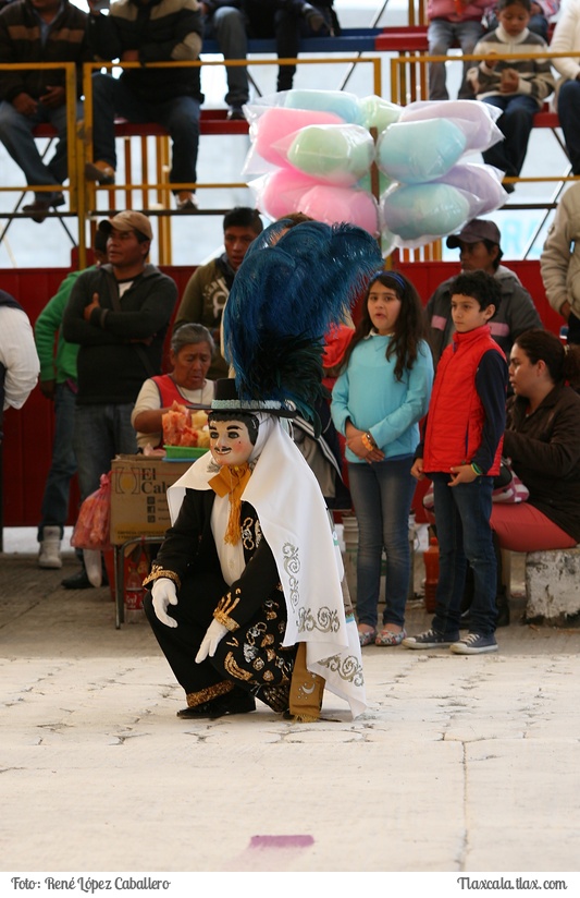 Camada Lucero