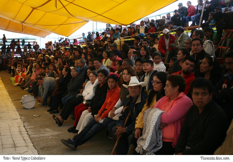Camada Lucero