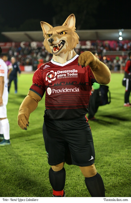 Coyotes de Tlaxcala vs Pachuca,  11 de noviembre 2015 - Foto