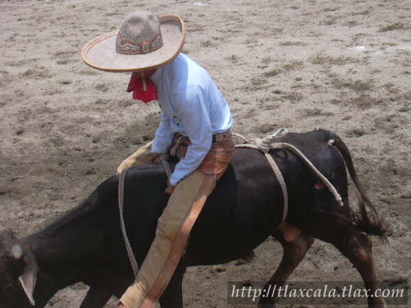 Campeonato Estatal 2005 - Foto