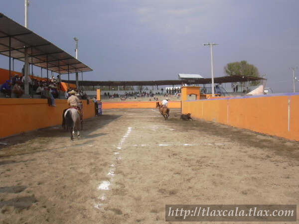 Campeonato Estatal 2005 - Foto