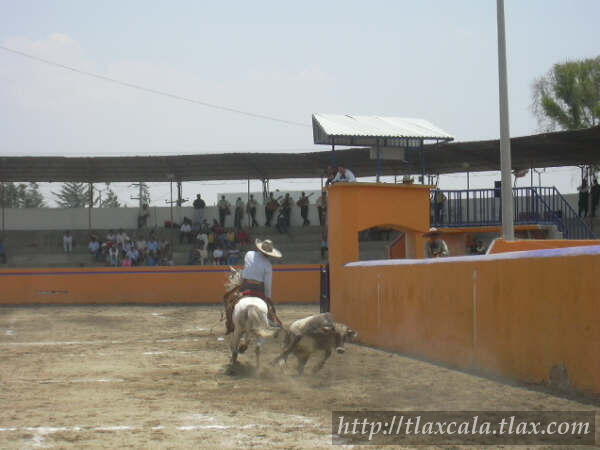 Campeonato Estatal 2005 - Foto