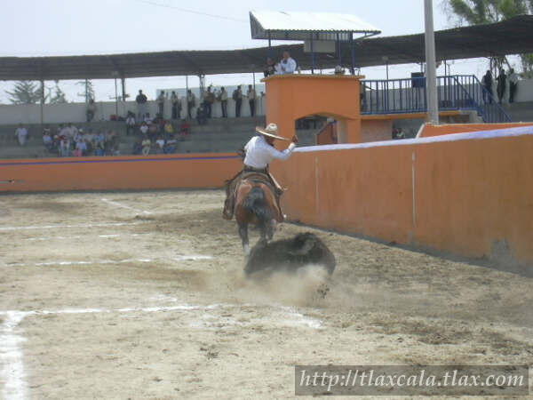 Campeonato Estatal 2005 - Foto