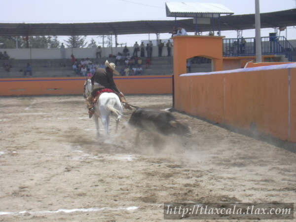 Campeonato Estatal 2005 - Foto