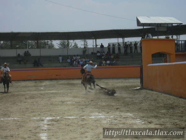 Campeonato Estatal 2005 - Foto