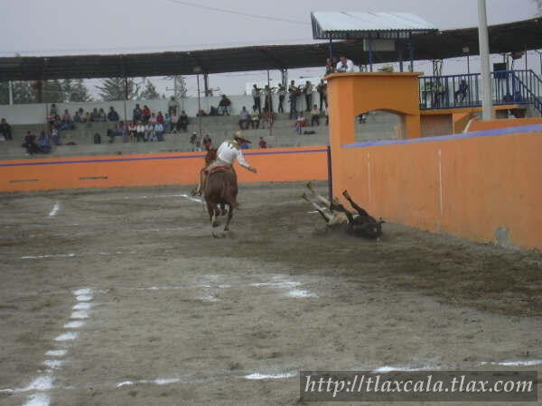 Campeonato Estatal 2005 - Foto