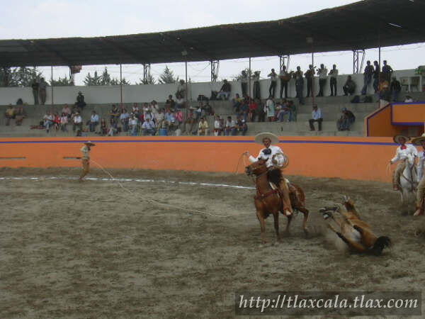 Campeonato Estatal 2005 - Foto
