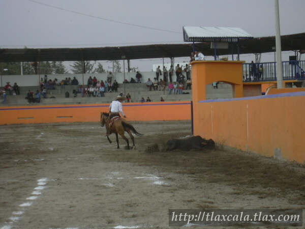 Campeonato Estatal 2005 - Foto