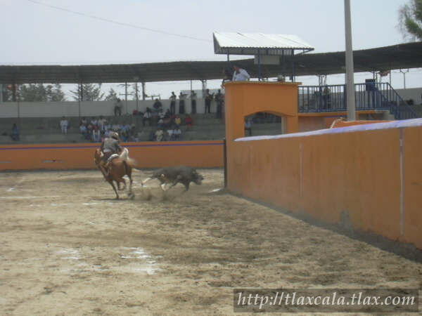 Campeonato Estatal 2005 - Foto