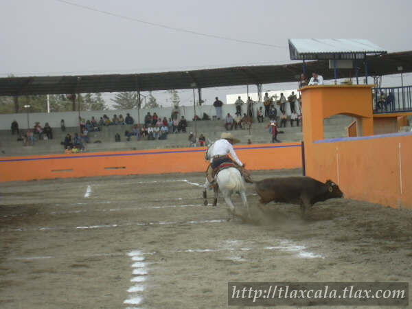 29 de abril