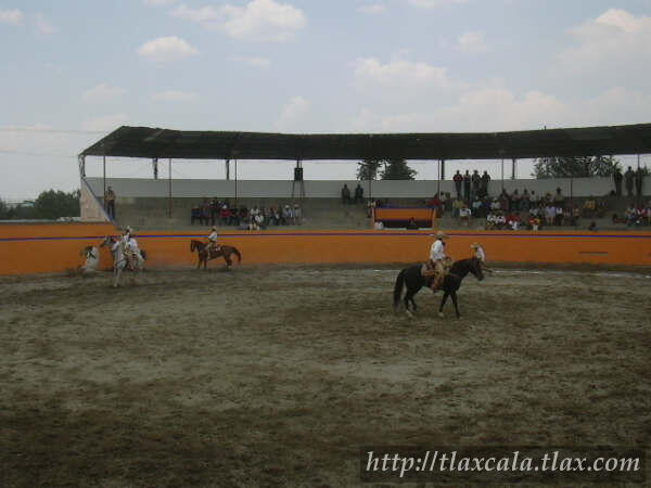 29 de abril