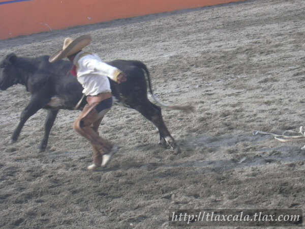 29 de abril