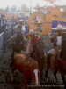 29 de abril