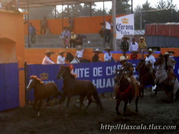 Campeonato Estatal 2005 - Foto