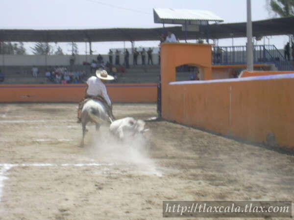 29 de abril