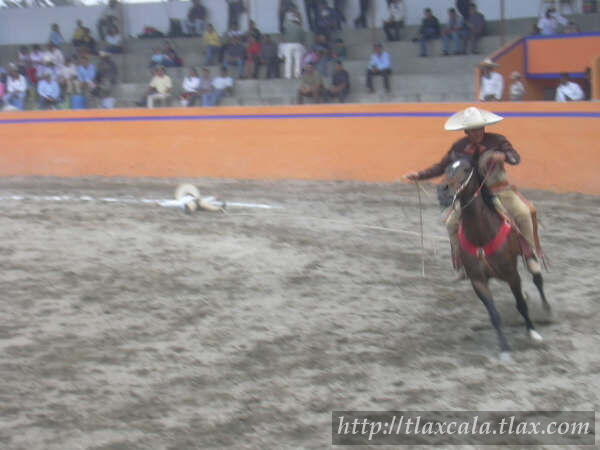 29 de abril