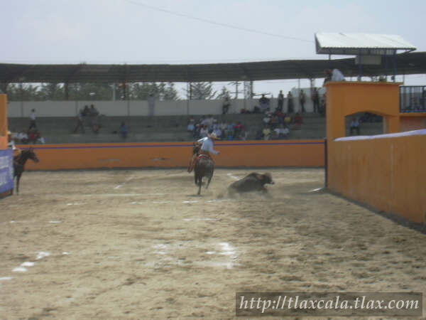 29 de abril