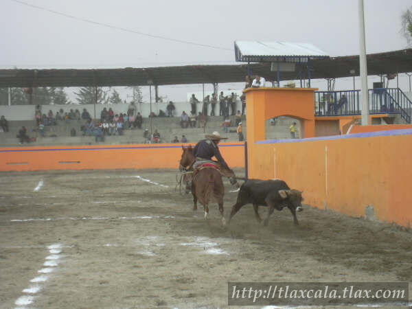 29 de abril