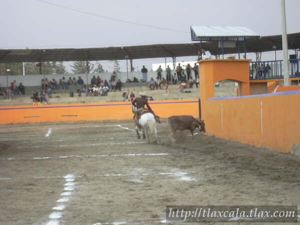 29 de abril