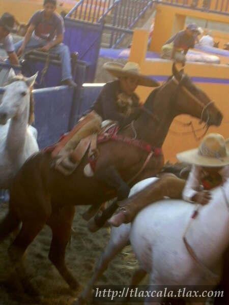 Campeonato Estatal 2005 - Foto