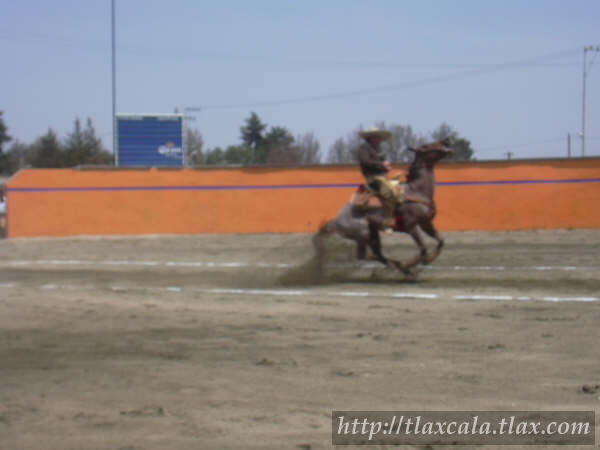 Campeonato Estatal 2005 - Foto