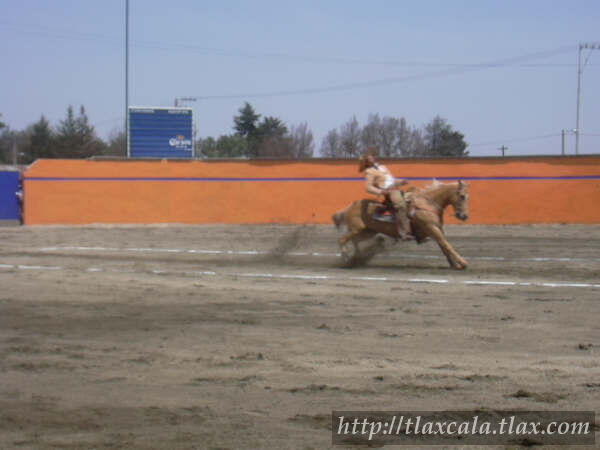Campeonato Estatal 2005 - Foto