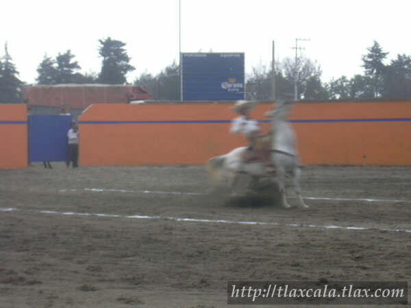 Campeonato Estatal 2005 - Foto