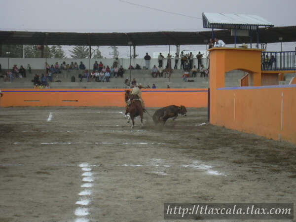 Campeonato Estatal 2005 - Foto