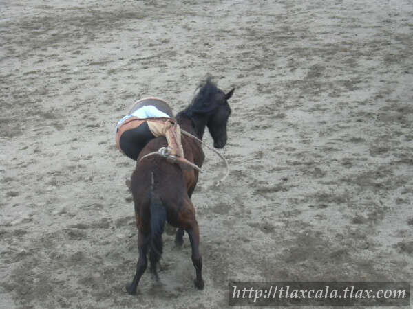 Campeonato Estatal 2005 - Foto