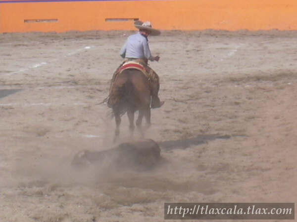 1 de mayo