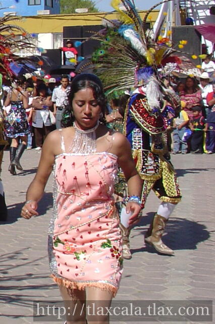 Carnaval San Francisco Tlacuilohcan 2006 - Foto
