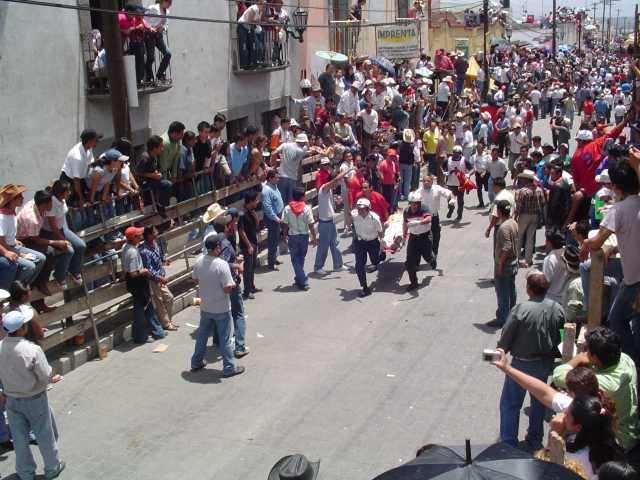 Corneado en la huamantlada (19/08/2006)