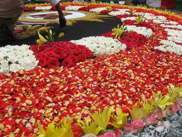 Alfombras