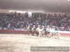 Abanico de las rancheras