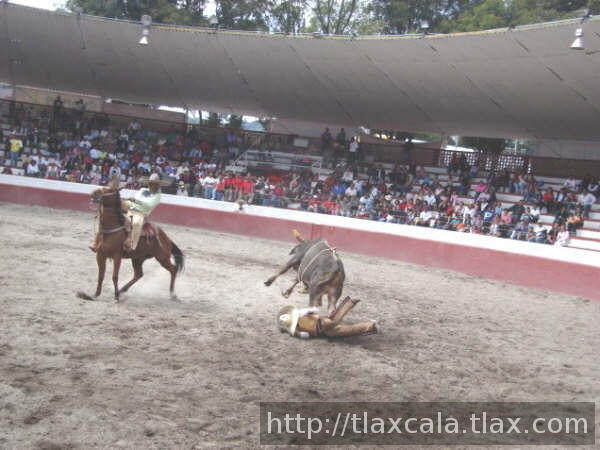 Felipe abajo