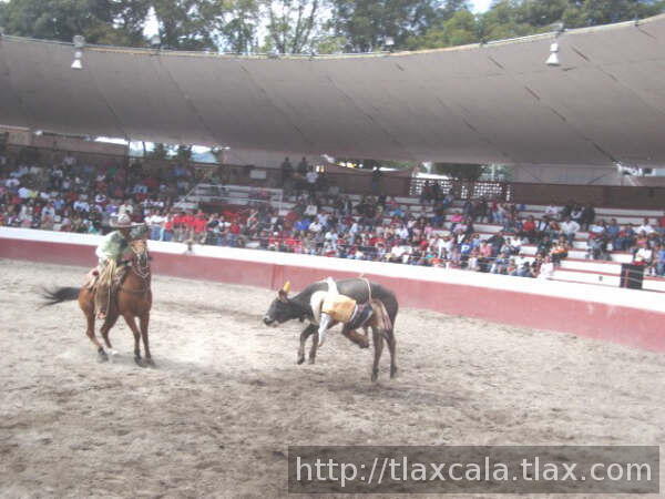 Felipe acostado