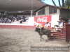Felipe